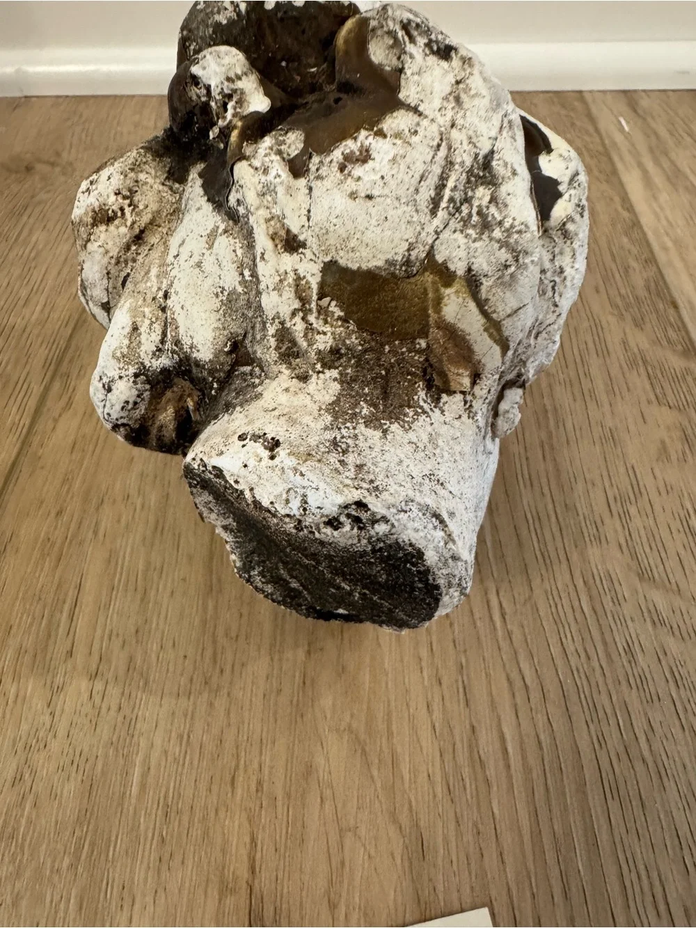 Vintage Plaster Cement Lady Bust Female Head Fragment - Picture 2 of 10